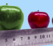 A ruler beneath a row of three applies in large, medium, and small sizes