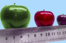 A ruler beneath a row of three applies in large, medium, and small sizes